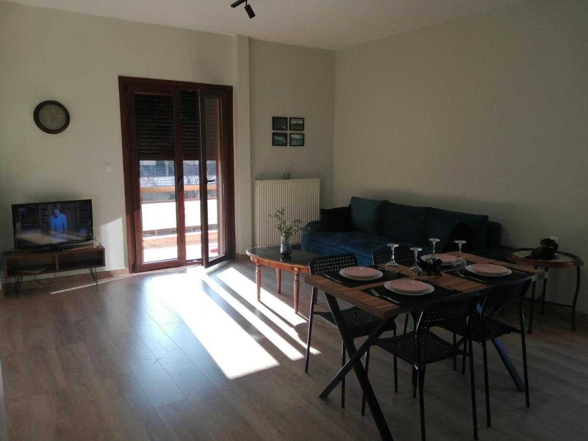 Eleana Apartamento Ioannina Exterior foto