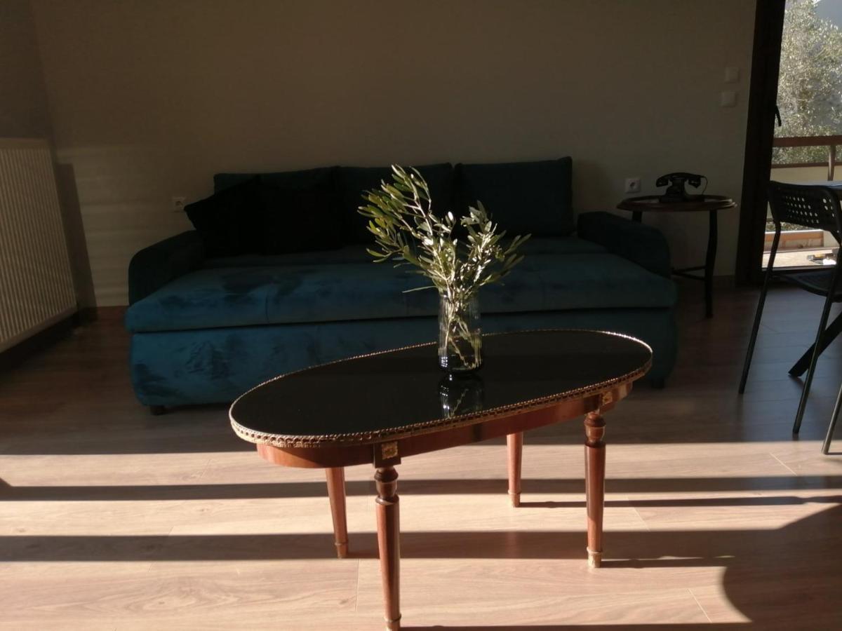 Eleana Apartamento Ioannina Exterior foto
